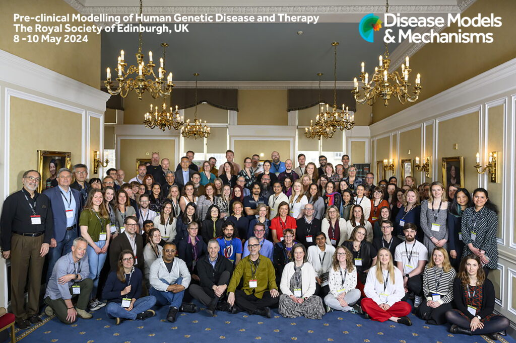 DMM meeting 2024 group photo